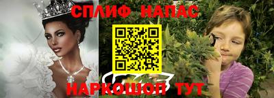 spice Будённовск