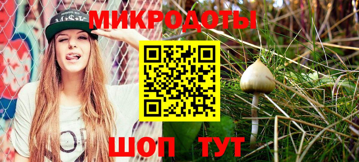 Псилоцибиновые грибы GOLDEN TEACHER  Галлюциногенные грибы мухоморы  Вход с VPN  купить  цена  Кулебаки 