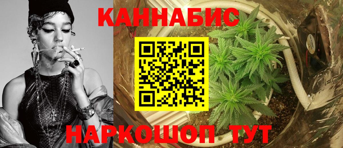 Бошки марихуана AK-47  Марихуана ГИДРОПОН  Вход с VPN  Кулебаки 